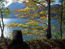 Herbstliche Stimmung am Walchensee, Bayern, Deutschland