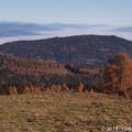 20111101_084728.jpg