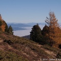 20111101_090225.jpg