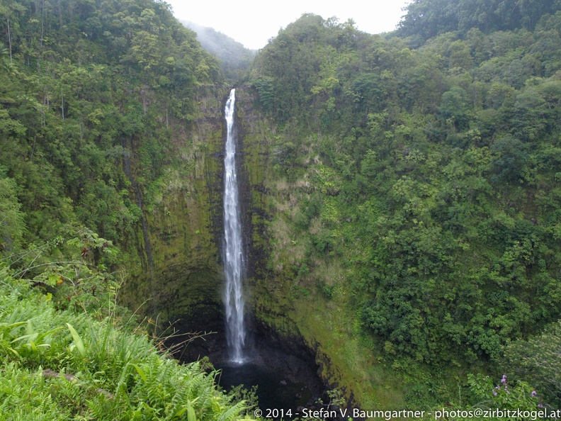 20100801_025834.jpg