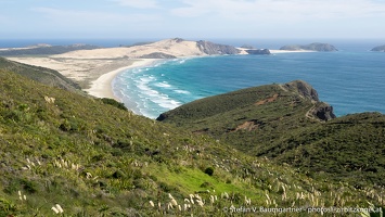 Ninty Mile Beach