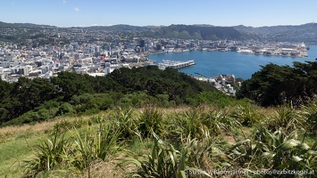 Wellington