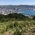 Wellington