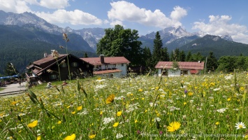 Berggasthof Eckbauer