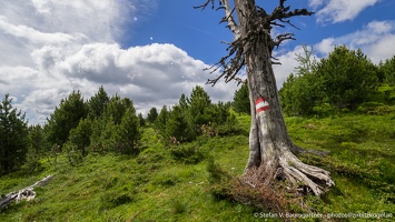 Selten begangener Weg