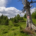 Selten begangener Weg